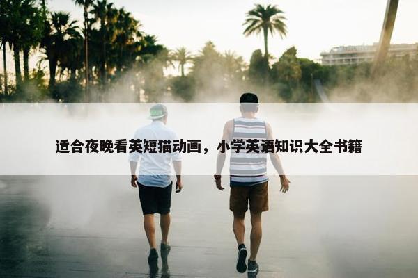 适合夜晚看英短猫动画，小学英语知识大全书籍