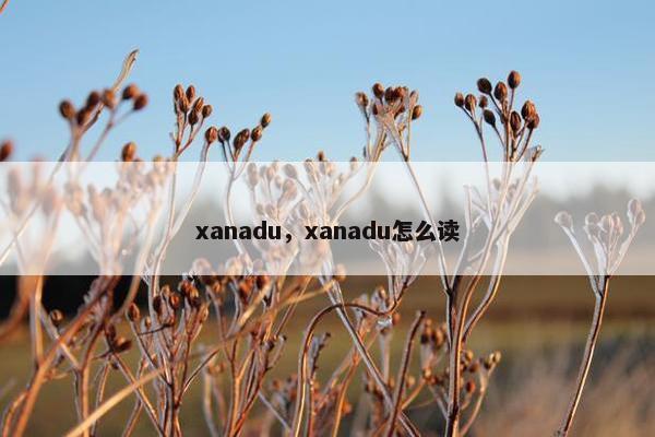 xanadu，xanadu怎么读