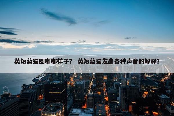 英短蓝猫圆嘟嘟样子？ 英短蓝猫发出各种声音的解释？