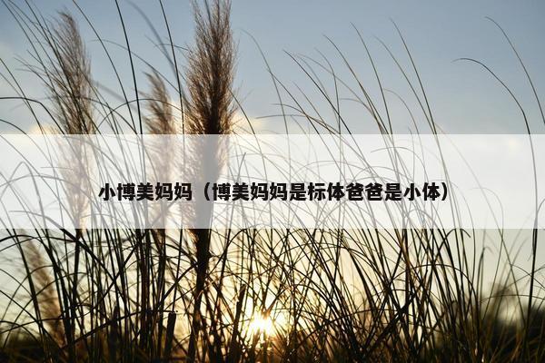 小博美妈妈（博美妈妈是标体爸爸是小体）