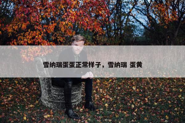 雪纳瑞蛋蛋正常样子，雪纳瑞 蛋黄