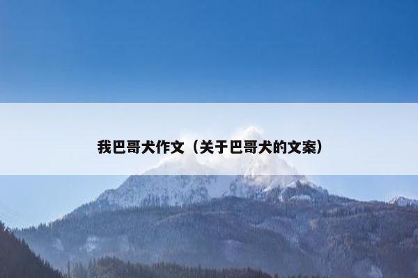 我巴哥犬作文（关于巴哥犬的文案）