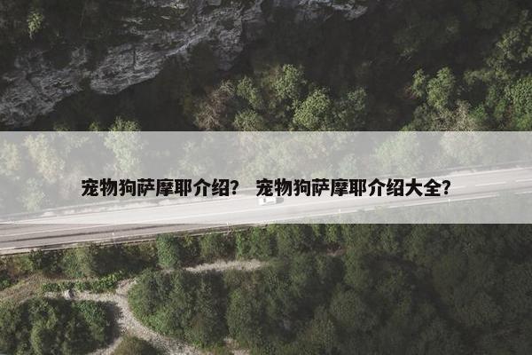 宠物狗萨摩耶介绍？ 宠物狗萨摩耶介绍大全？