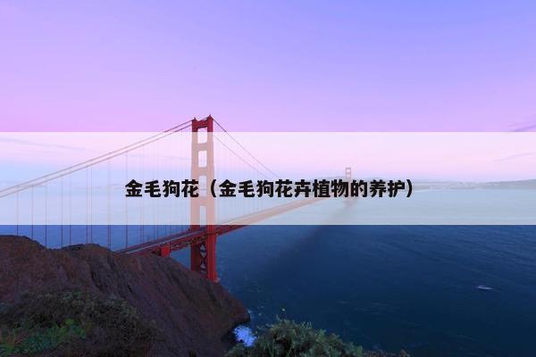 金毛狗花（金毛狗花卉植物的养护）