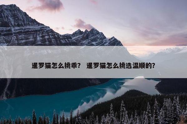 暹罗猫怎么挑乖？ 暹罗猫怎么挑选温顺的？