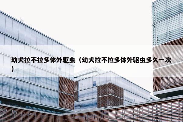 幼犬拉不拉多体外驱虫（幼犬拉不拉多体外驱虫多久一次）