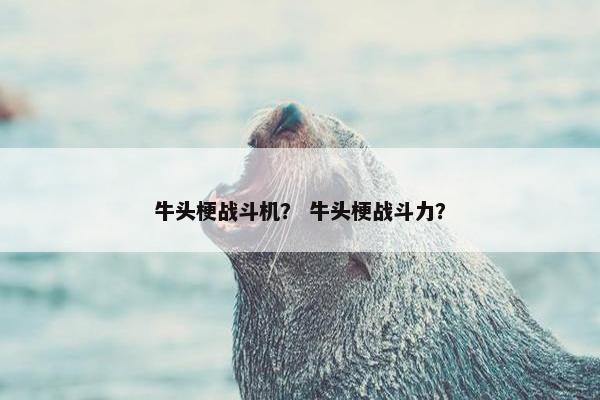 牛头梗战斗机? 牛头梗战斗力? 牛头梗战斗机? 牛头梗战斗力?