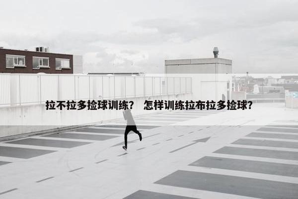 拉不拉多捡球训练？ 怎样训练拉布拉多捡球？