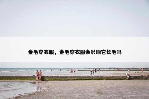 金毛穿衣服，金毛穿衣服会影响它长毛吗