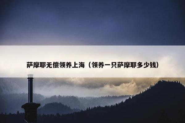 萨摩耶无偿领养上海（领养一只萨摩耶多少钱）
