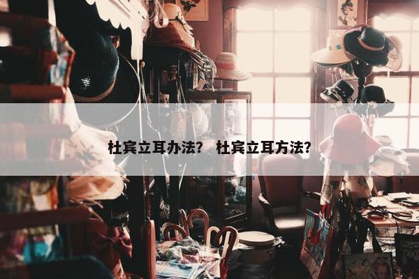 杜宾立耳办法？ 杜宾立耳方法？
