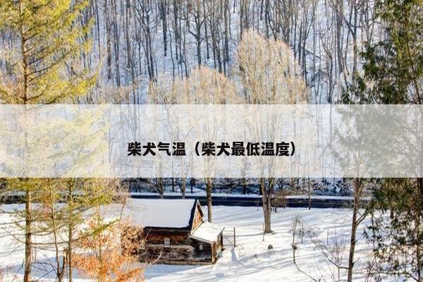 柴犬气温（柴犬最低温度）