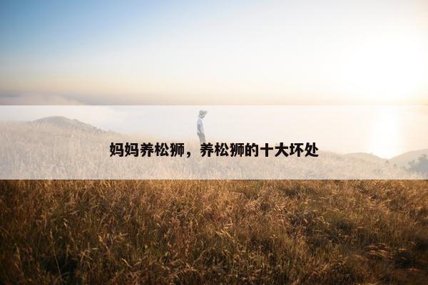 妈妈养松狮，养松狮的十大坏处