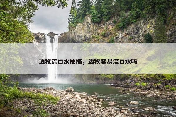 边牧流口水抽搐，边牧容易流口水吗