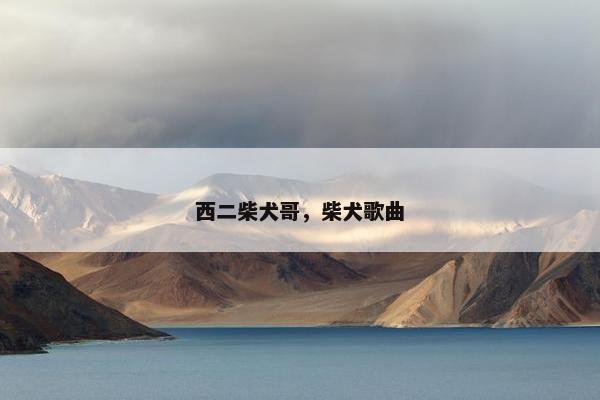 西二柴犬哥，柴犬歌曲
