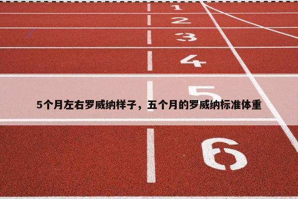 5个月左右罗威纳样子，五个月的罗威纳标准体重