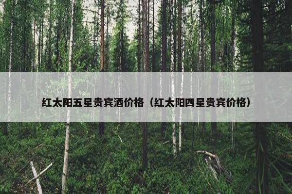红太阳五星贵宾酒价格（红太阳四星贵宾价格）