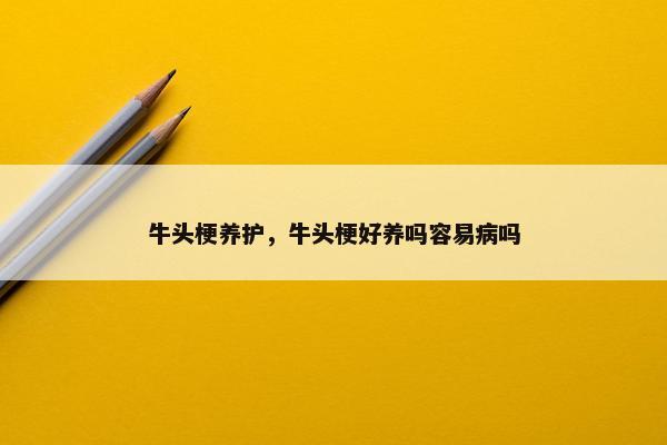 牛头梗养护，牛头梗好养吗容易病吗
