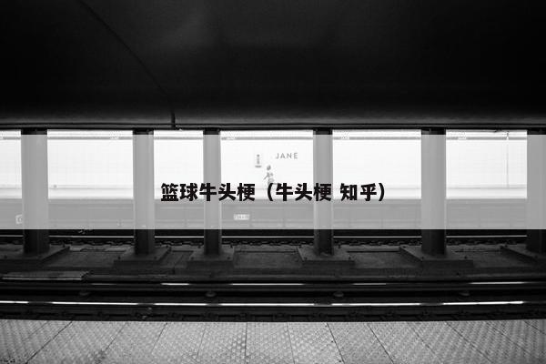 篮球牛头梗（牛头梗 知乎）