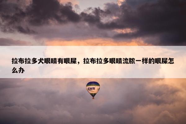 拉布拉多犬眼睛有眼屎，拉布拉多眼睛流脓一样的眼屎怎么办