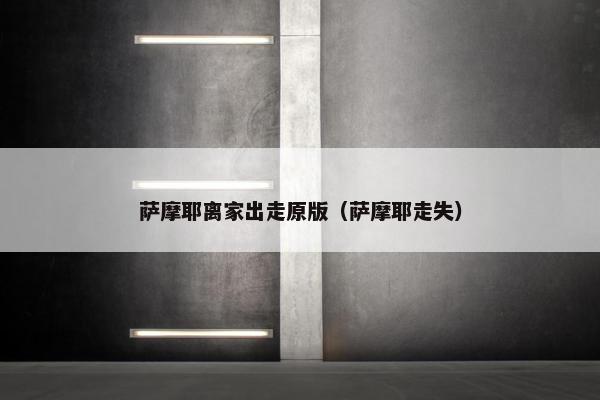 萨摩耶离家出走原版（萨摩耶走失）