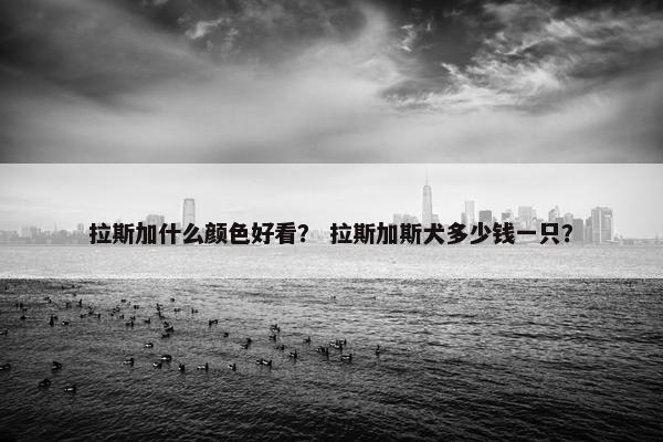 拉斯加什么颜色好看？ 拉斯加斯犬多少钱一只？