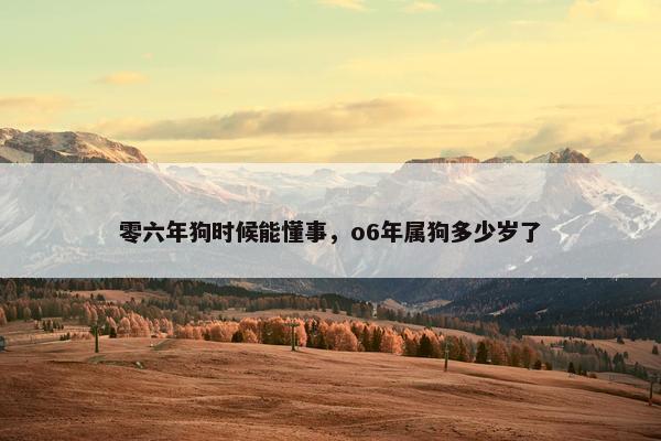 零六年狗时候能懂事，o6年属狗多少岁了