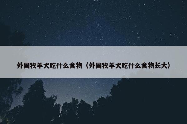 外国牧羊犬吃什么食物（外国牧羊犬吃什么食物长大）