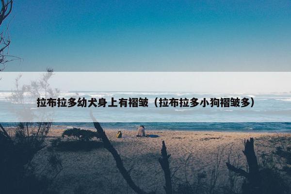 拉布拉多幼犬身上有褶皱（拉布拉多小狗褶皱多）