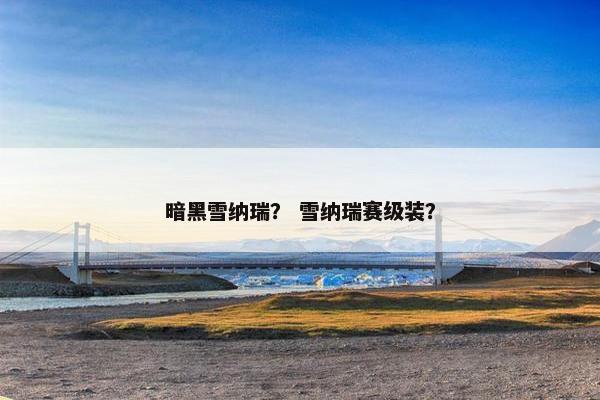 暗黑雪纳瑞？ 雪纳瑞赛级装？