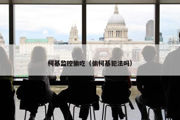 柯基监控偷吃（偷柯基犯法吗）