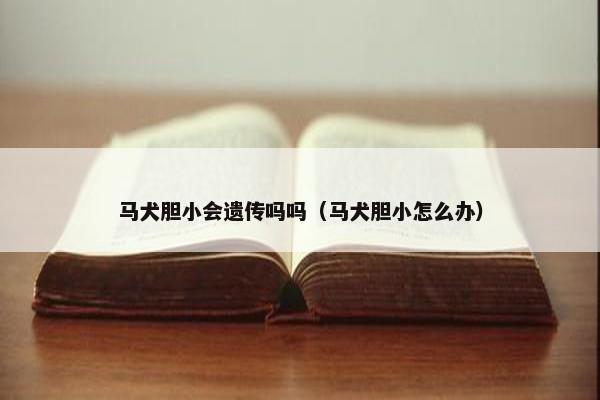 马犬胆小会遗传吗吗（马犬胆小怎么办）