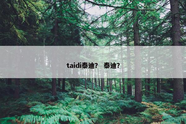 taidi泰迪？ 泰迪？