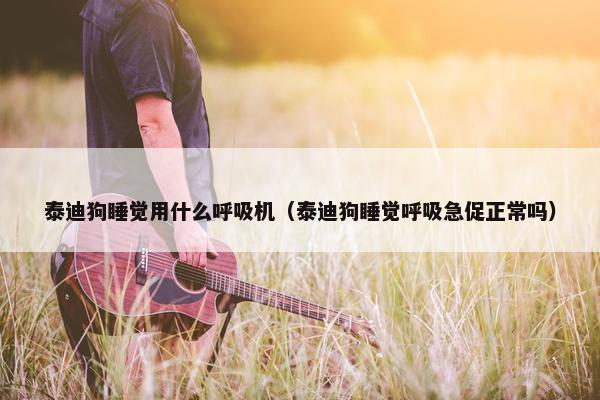 泰迪狗睡觉用什么呼吸机（泰迪狗睡觉呼吸急促正常吗）