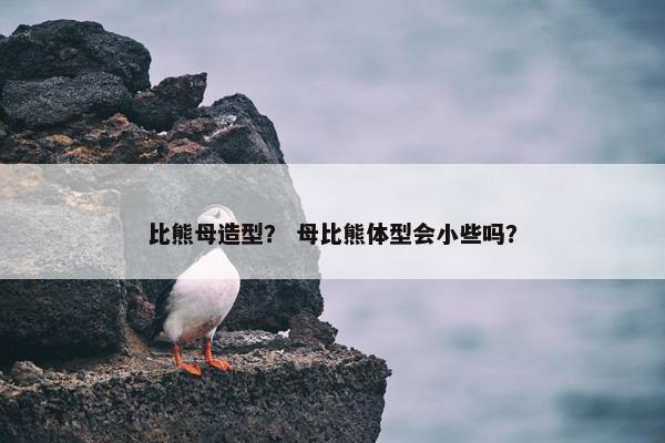 比熊母造型？ 母比熊体型会小些吗？