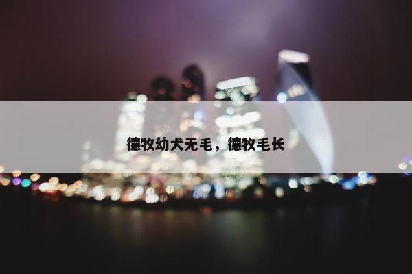德牧幼犬无毛，德牧毛长