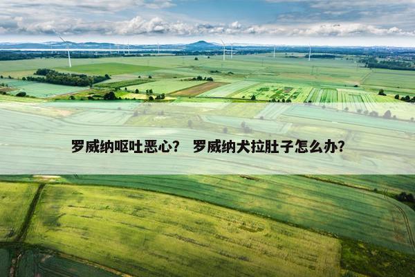 罗威纳呕吐恶心？ 罗威纳犬拉肚子怎么办？