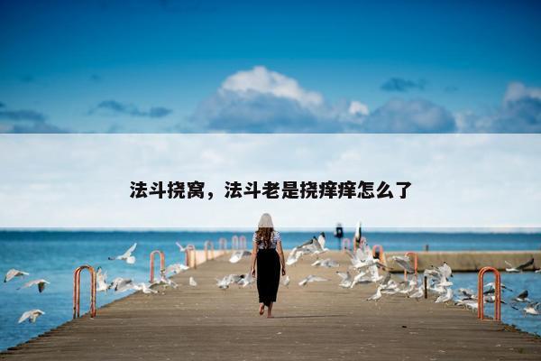 法斗挠窝，法斗老是挠痒痒怎么了