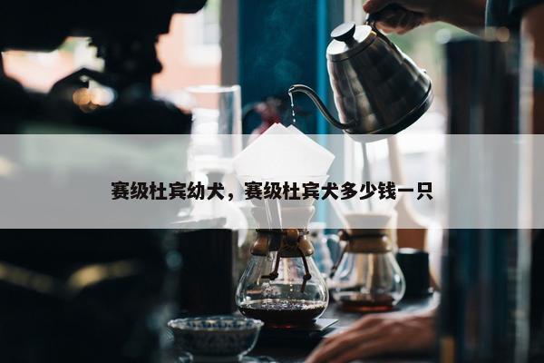 赛级杜宾幼犬，赛级杜宾犬多少钱一只