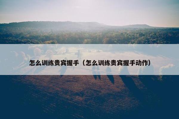 怎么训练贵宾握手(怎么训练贵宾握手动作) 怎么训练贵宾握手(怎么训练贵宾握手动作)