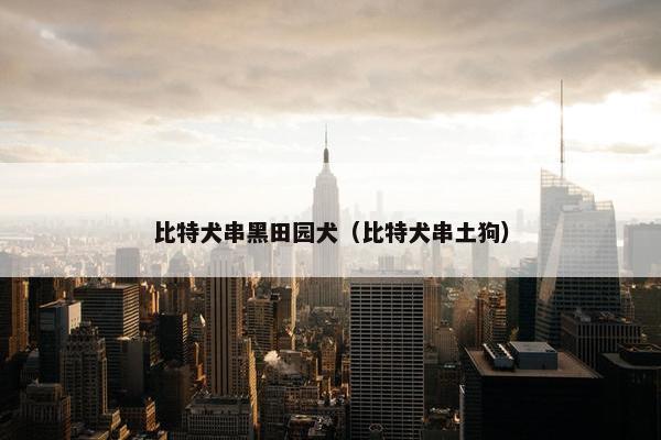 比特犬串黑田园犬（比特犬串土狗）