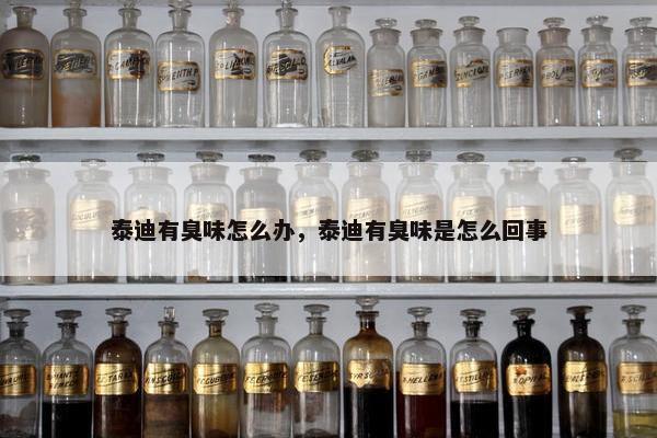 泰迪有臭味怎么办，泰迪有臭味是怎么回事