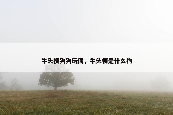 牛头梗狗狗玩偶，牛头梗是什么狗