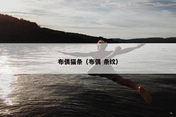 布偶猫条（布偶 条纹）