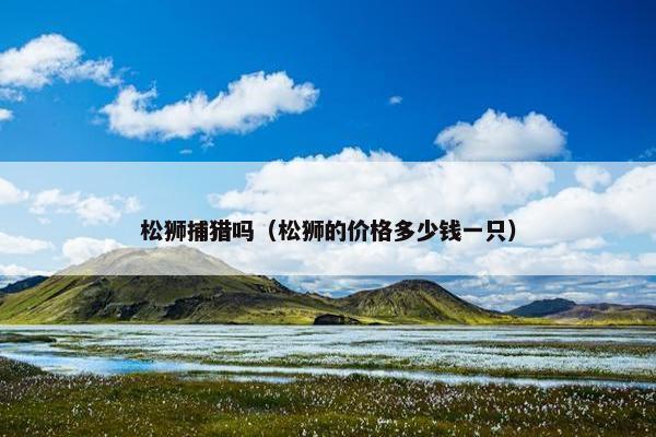 松狮捕猎吗（松狮的价格多少钱一只）