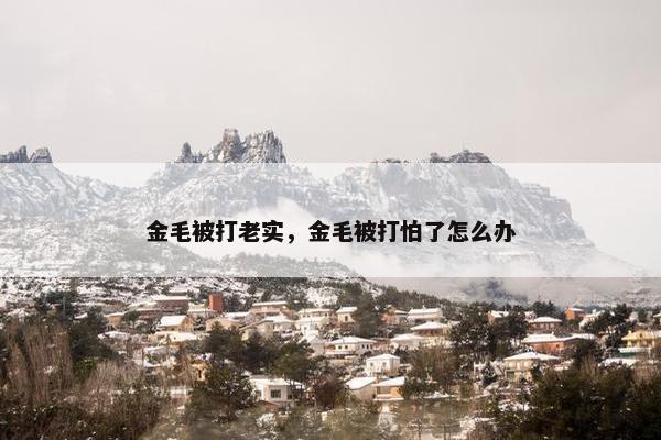 金毛被打老实，金毛被打怕了怎么办