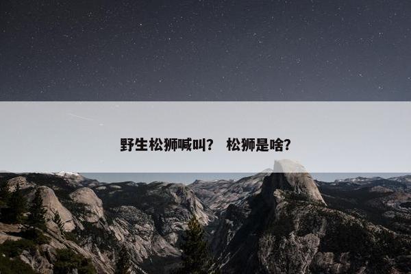野生松狮喊叫？ 松狮是啥？