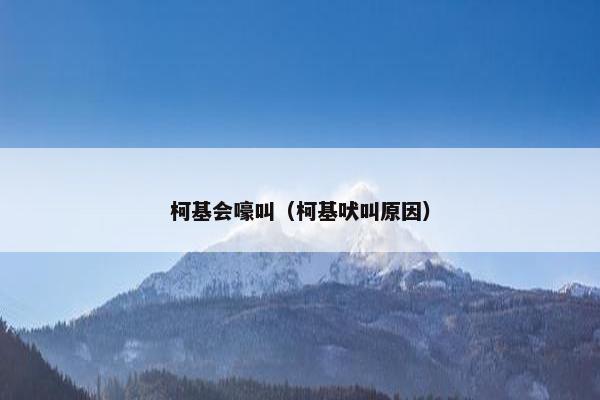 柯基会嚎叫（柯基吠叫原因）