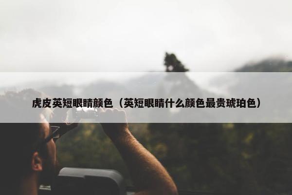 虎皮英短眼睛颜色（英短眼睛什么颜色最贵琥珀色）
