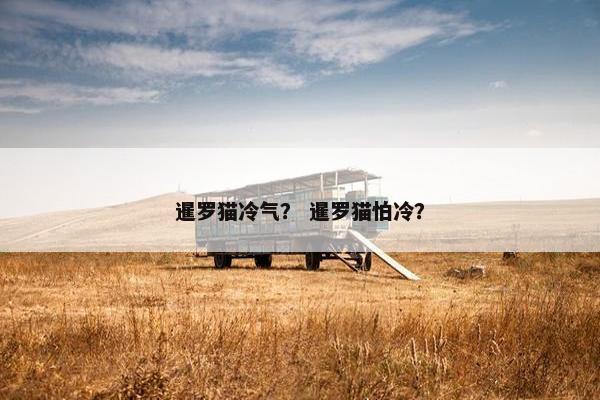 暹罗猫冷气？ 暹罗猫怕冷？